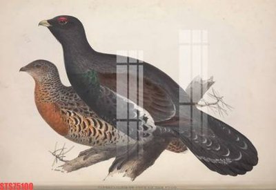 File in ấn chuyên nghiệp Tranh sơn dầu phương tây tổng hợp STS75100 (file gốc)