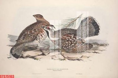 Tải file Tranh sơn dầu phương tây tổng hợp STS75103 (gốc) làm tranh treo tường