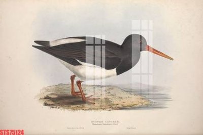 File gốc Tranh sơn dầu phương tây tổng hợp STS75124 (ảnh chi tiết) để in trần