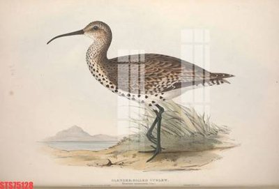 File tranh Tranh sơn dầu phương tây tổng hợp STS75128 (gốc) phong cách tối giản