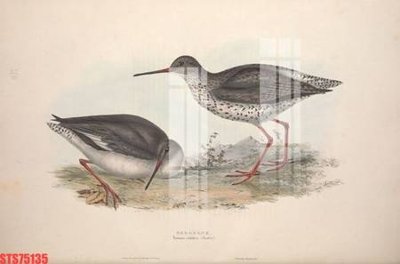 File tranh in mica Tranh sơn dầu phương tây tổng hợp STS75135 (độ phân giải cao)