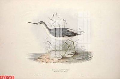 File gốc Tranh sơn dầu phương tây tổng hợp STS75139 (in mica) làm bảng hiệu