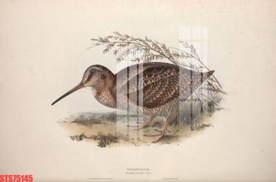 File in trần Tranh sơn dầu phương tây tổng hợp STS75145 (file gốc) phong thủy