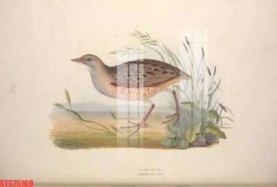 Tải file gốc Tranh sơn dầu phương tây tổng hợp STS75169 (in bạt) quảng cáo