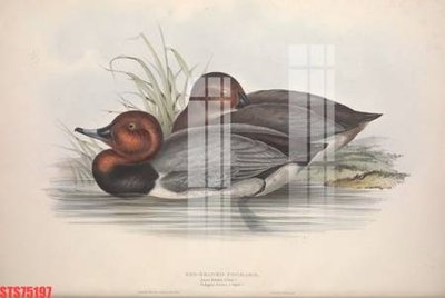 File gốc Tranh sơn dầu phương tây tổng hợp STS75197 (ảnh chi tiết) để in ấn