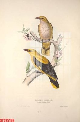 Tải file gốc Tranh sơn dầu phương tây tổng hợp STS75199 (bản PSD) còn layer