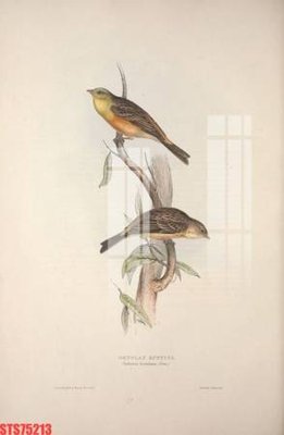 File tranh Tranh sơn dầu phương tây tổng hợp STS75213 (gốc) phong cách tối giản