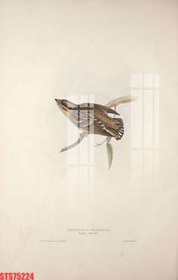 File tranh Tranh sơn dầu phương tây tổng hợp STS75224 (gốc) chủ đề thành phố