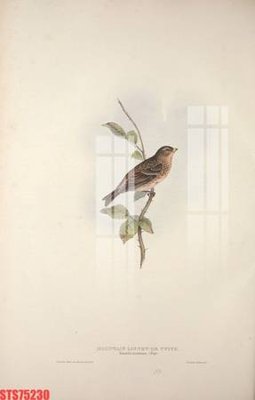 File ảnh Tranh sơn dầu phương tây tổng hợp STS75230 (gốc) in biển hiệu