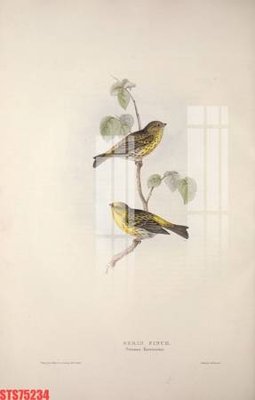 File PSD Tranh sơn dầu phương tây tổng hợp STS75234 (bản gốc) dễ dàng edit