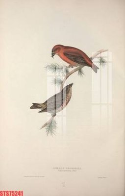 Ảnh gốc file in lụa Tranh sơn dầu phương tây tổng hợp STS75241 chi tiết