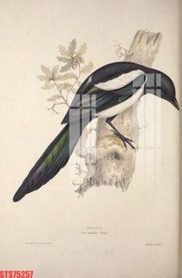 Tải file Tranh sơn dầu phương tây tổng hợp STS75257 (PSD) cho in tranh kính