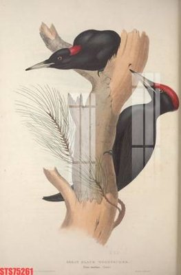 Tải file gốc Tranh sơn dầu phương tây tổng hợp STS75261 (in khổ lớn) không mờ