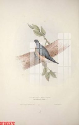 Download file gốc Tranh sơn dầu phương tây tổng hợp STS75272 (in lụa) tranh 3D