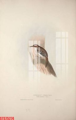 Tải file Tranh sơn dầu phương tây tổng hợp STS75274 (PSD) cho in tranh kính