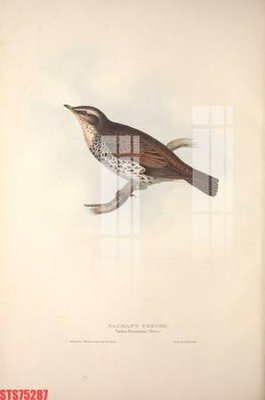 Tải file Tranh sơn dầu phương tây tổng hợp STS75287 (gốc) chủ đề tôn giáo