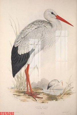 File in trần Tranh sơn dầu phương tây tổng hợp STS75292 (bản gốc) đại dương