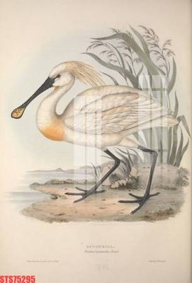 File gốc Tranh sơn dầu phương tây tổng hợp STS75295 (in lụa) họa tiết 3D