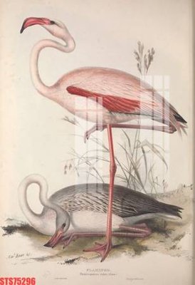 File PSD Tranh sơn dầu phương tây tổng hợp STS75296 (bản gốc) dễ dàng edit