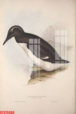 File tranh gốc Tranh sơn dầu phương tây tổng hợp STS75300 (bản đẹp) độc quyền