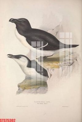 Download file gốc Tranh sơn dầu phương tây tổng hợp STS75302 (in lụa) nghệ thuật