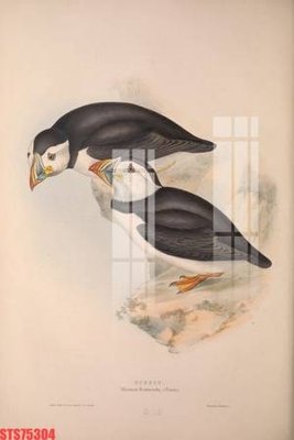 File gốc in ấn Tranh sơn dầu phương tây tổng hợp STS75304 chuẩn màu CMYK