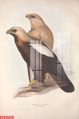 Tải file Tranh sơn dầu phương tây tổng hợp STS75312 (gốc) chủ đề tôn giáo