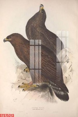 File gốc Tranh sơn dầu phương tây tổng hợp STS75313 (in 3D) cho trang trí