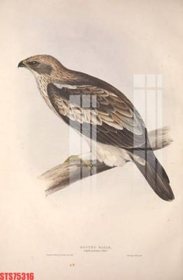 File tranh in tráng gương Tranh sơn dầu phương tây tổng hợp STS75316 (siêu nét)