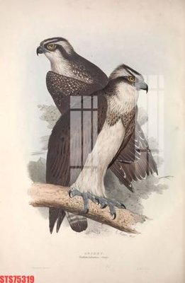 Download file gốc Tranh sơn dầu phương tây tổng hợp STS75319 (in mica) logo