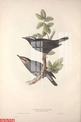 File tranh Tranh sơn dầu phương tây tổng hợp STS75321 (bản gốc) trang trí văn phòng