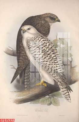 File tranh in trần 3D Tranh sơn dầu phương tây tổng hợp STS75327 (ảnh gốc)