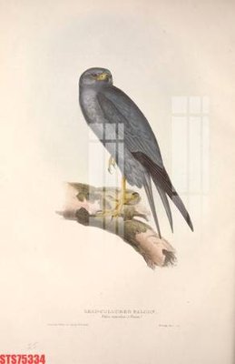 Tải file PSD Tranh sơn dầu phương tây tổng hợp STS75334 (nguyên layer) để in