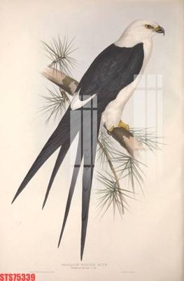 File gốc Tranh sơn dầu phương tây tổng hợp STS75339 (PNG) trong suốt (transparent)