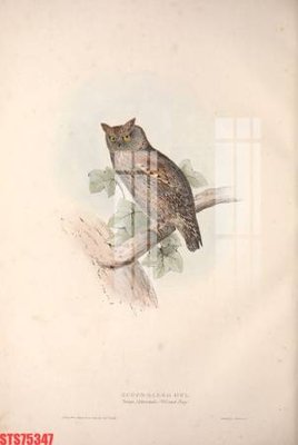 Tải file Tranh sơn dầu phương tây tổng hợp STS75347 (gốc) làm tranh treo tường