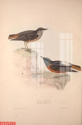 Tải file gốc Tranh sơn dầu phương tây tổng hợp STS75354 (in khổ lớn) không vỡ