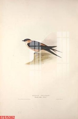 File gốc Tranh sơn dầu phương tây tổng hợp STS75362 (ảnh chi tiết) để in trần