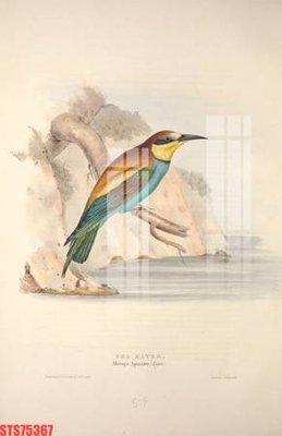 Download file Tranh sơn dầu phương tây tổng hợp STS75367 (gốc) in mica ốp bếp