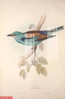 Tải file Tranh sơn dầu phương tây tổng hợp STS75368 (ảnh gốc) file AI/EPS