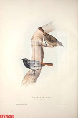 File gốc Tranh sơn dầu phương tây tổng hợp STS75379 (PNG) nền trong suốt