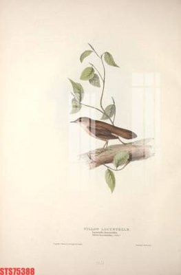 Hình ảnh file gốc Tranh sơn dầu phương tây tổng hợp STS75388 cho in UV