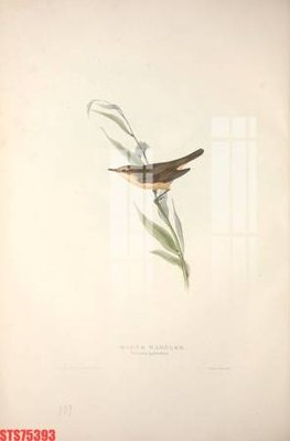 Tải file gốc Tranh sơn dầu phương tây tổng hợp STS75393 (bản PSD) còn layer