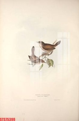 File gốc Tranh sơn dầu phương tây tổng hợp STS75399 (bản quyền) cho in ấn