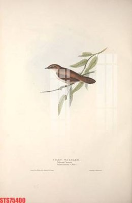 Download file Tranh sơn dầu phương tây tổng hợp STS75400 (chuẩn in) chất lượng cao