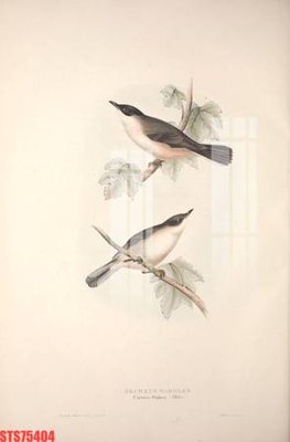 File in mica Tranh sơn dầu phương tây tổng hợp STS75404 (bản gốc) sắc sảo