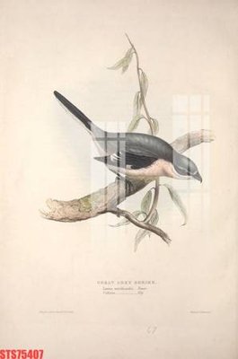 File tranh PSD Tranh sơn dầu phương tây tổng hợp STS75407 chất lượng cao