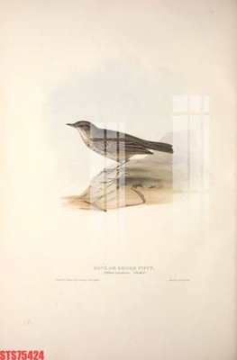 File ảnh Tranh sơn dầu phương tây tổng hợp STS75424 (gốc) in decal dán tường