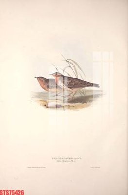 File gốc Tranh sơn dầu phương tây tổng hợp STS75426 (phong cách) tối giản