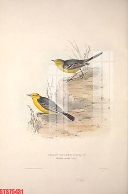 File in trần Tranh sơn dầu phương tây tổng hợp STS75431 (bản gốc) phong cảnh