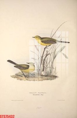 File tranh Tranh sơn dầu phương tây tổng hợp STS75432 (ảnh gốc) chi tiết rõ ràng